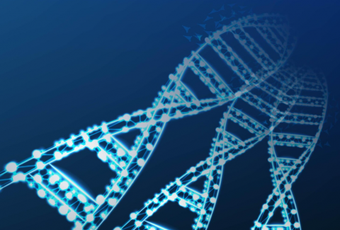 dna